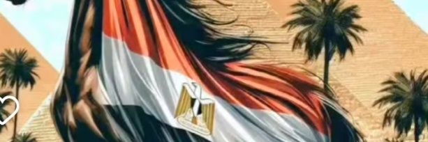 بيبو❤Rabab 🇪🇬's banner