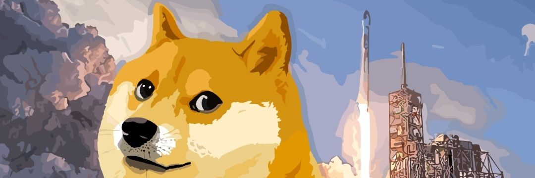 韭菜君LeekJun's banner