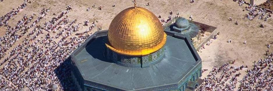 عربي . مسلم . حر's banner