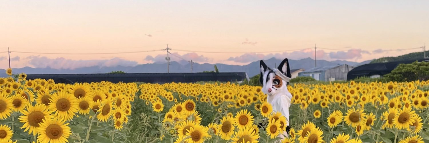Lazy Joy's banner