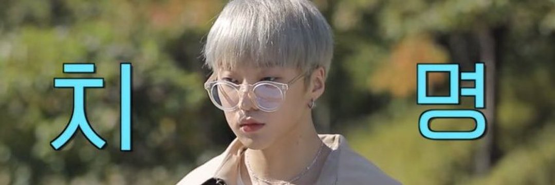 바라🐥's banner