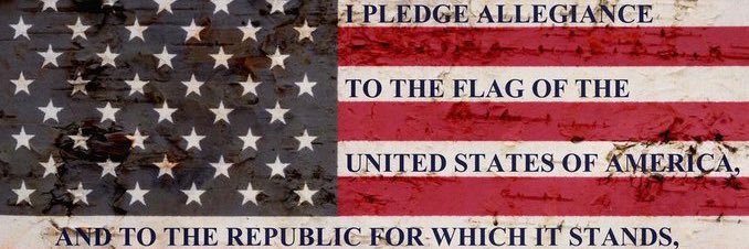 Allegedly Armed Citizen🤷🏼's banner
