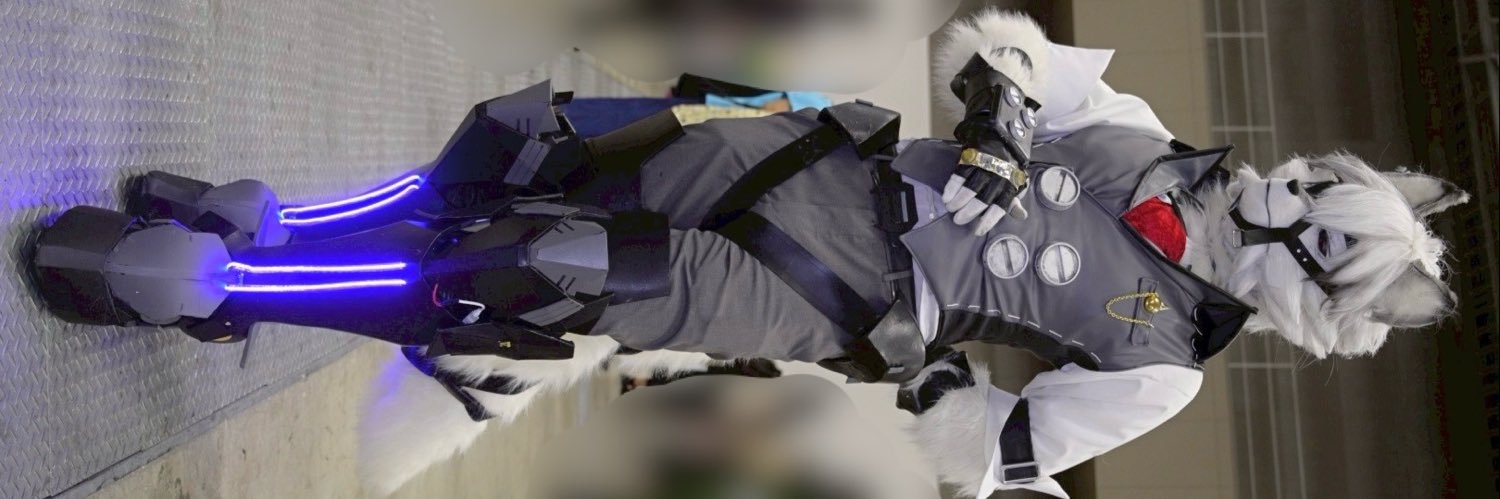 鰐軍壮's banner