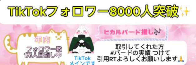 ヒカルバード🍙🐼⬅️ファンマ/TikTok▶️1万人突破‼️'s banner