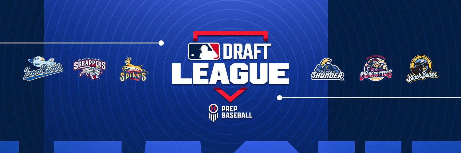 MLB Draft League Data's banner