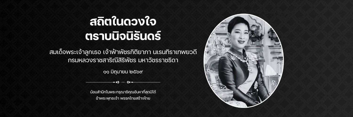 พรรคไทยสร้างไทย's banner