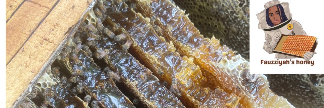 Fauzziyah's Honey 🐝 BEES. RAW HONEY's banner