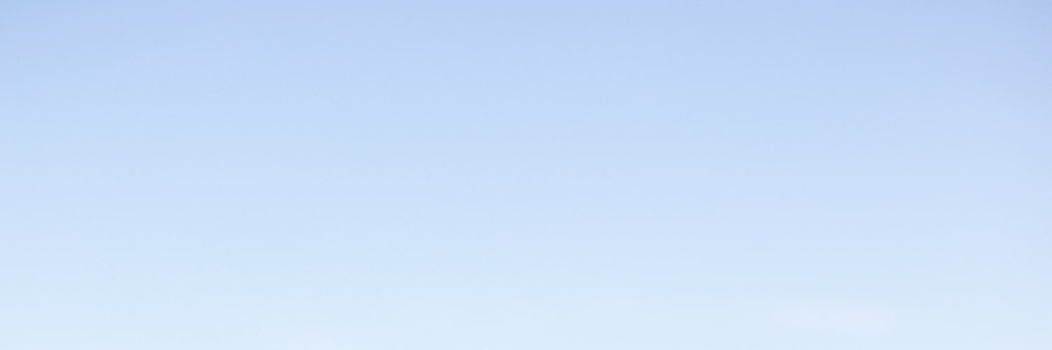 lizardo's banner