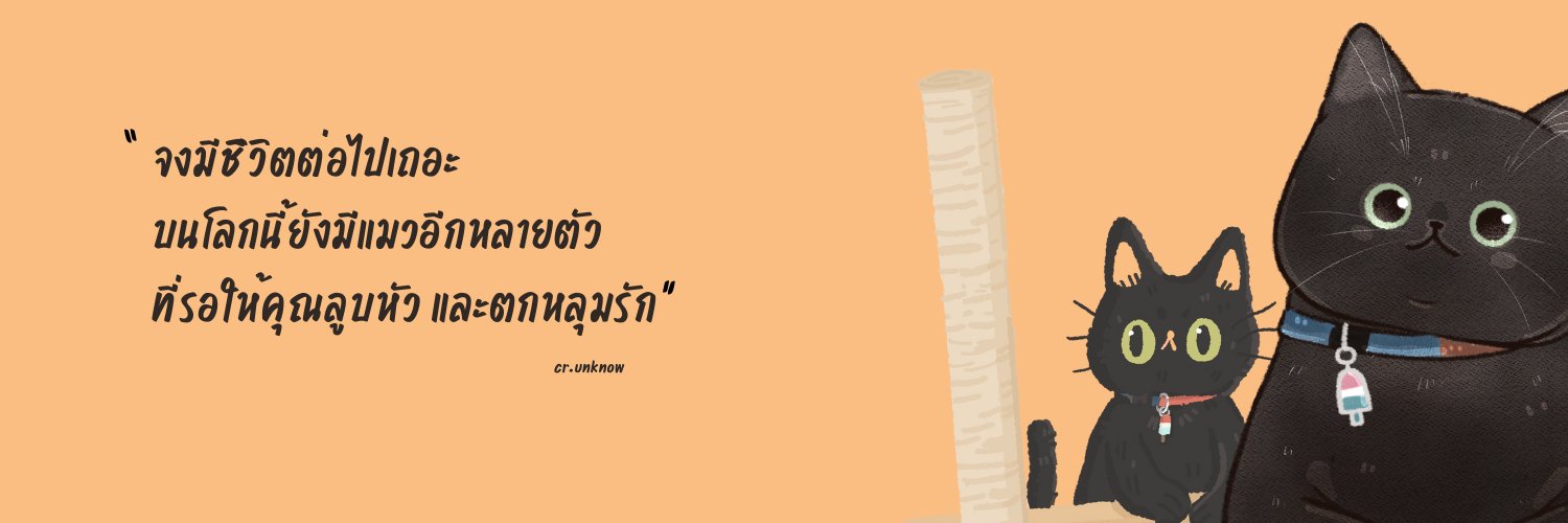 ไม่ควรมีแมวตัวไหนบนโลกใบนี้ต้องมาเป็นแมวจร's banner