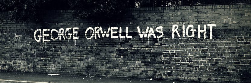 ROB GARGUILO's banner