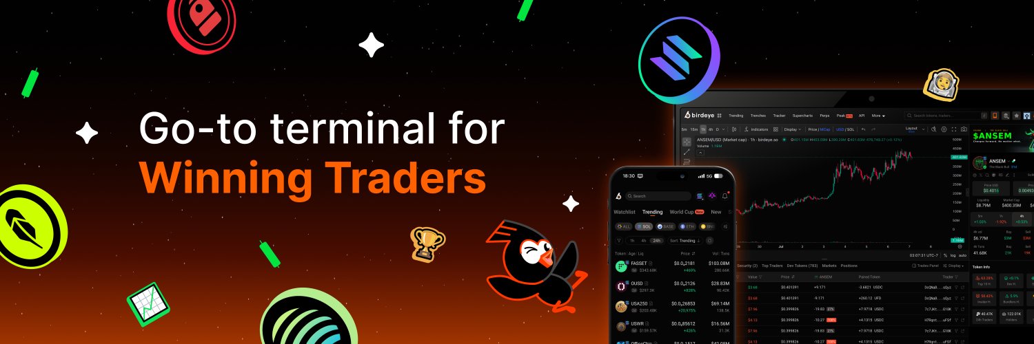 Birdeye's banner