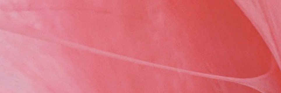 羅生門🕸's banner