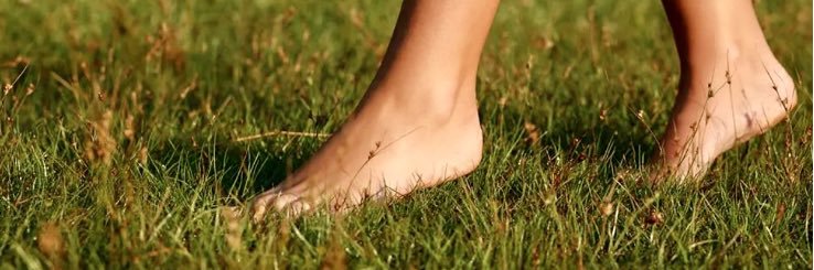 Barefoot Jewess ✡️'s banner