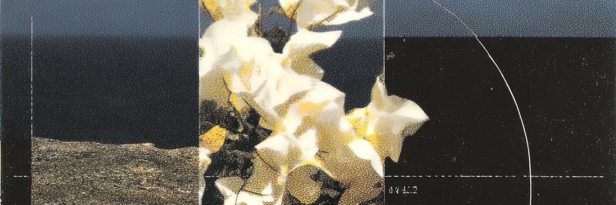 lika met ateez's banner