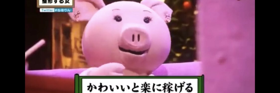 めいてゃ(🥖)🍵🍽️🛍️'s banner