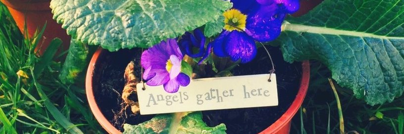 Antonia Rolls's banner