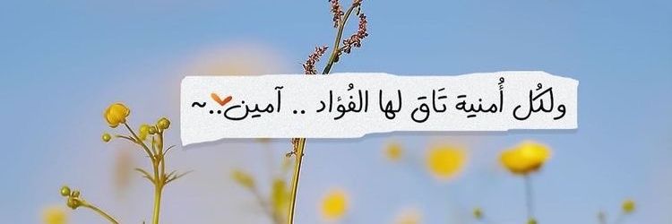 استثنائية💛ŇFÇ💙's banner