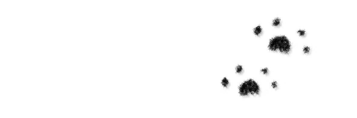 早睡's banner