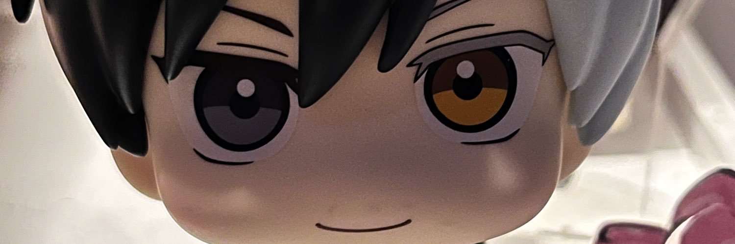 silphia ⋆·˚'s banner