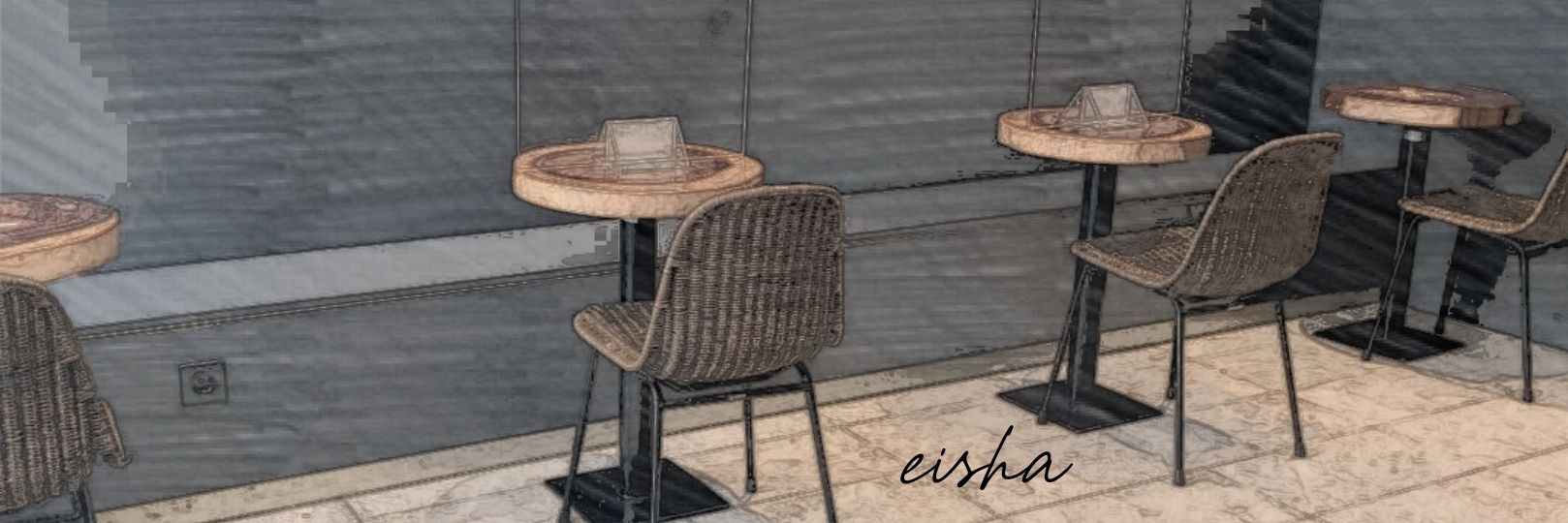 eisha‎ꫂ᭪݁'s banner