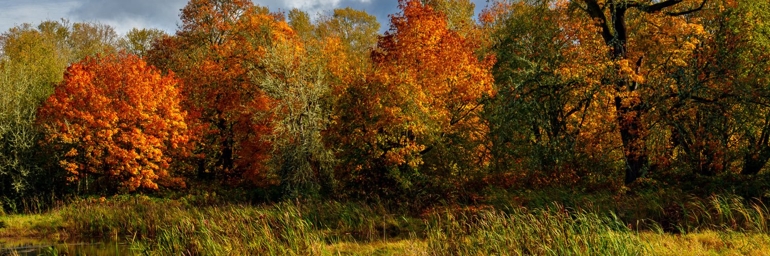 Paul Marcoe | PNW Photographer's banner
