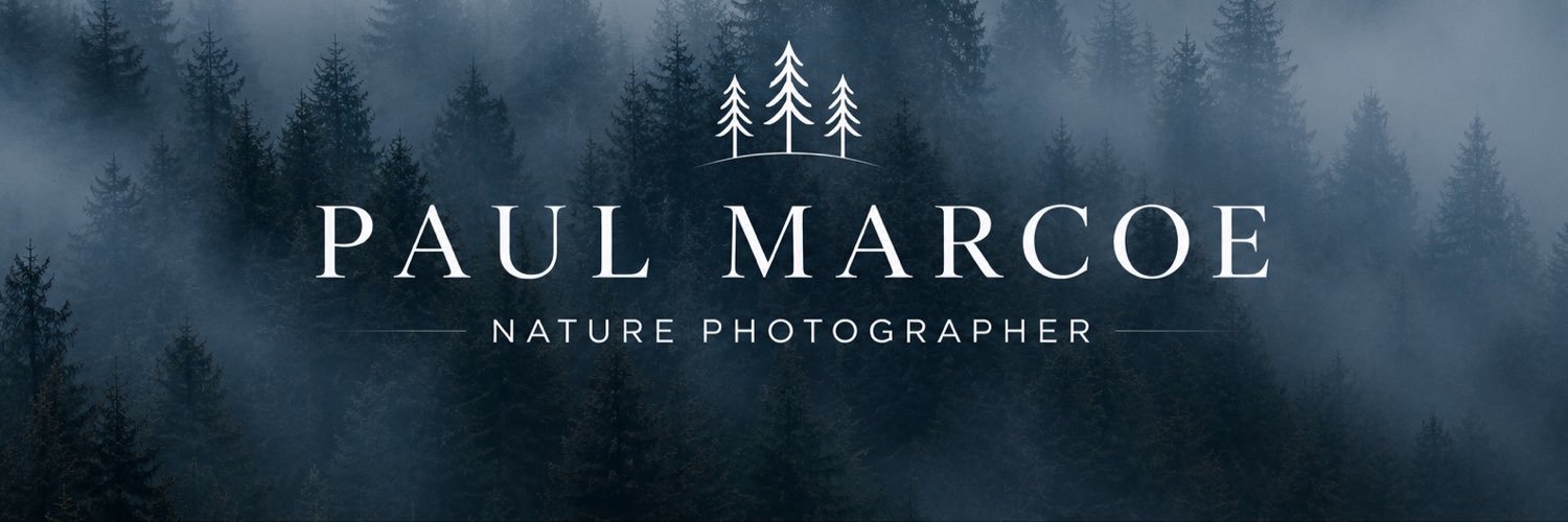 Paul Marcoe | Nature Photographer's banner