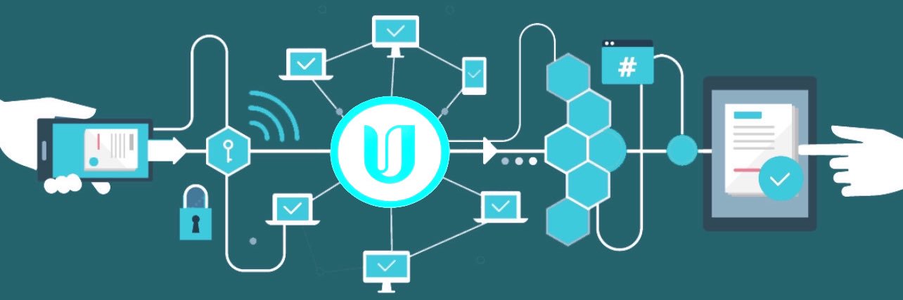 Pi UNIVERSE's banner