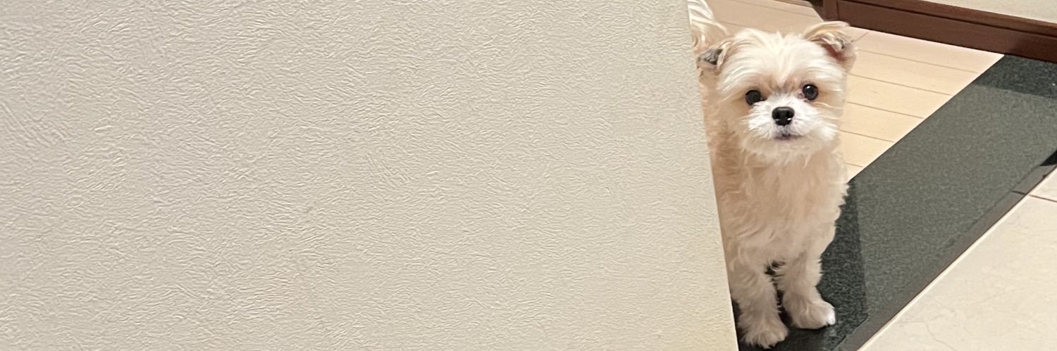 みくる (カラフルスクリーム)'s banner