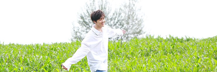 니니's banner