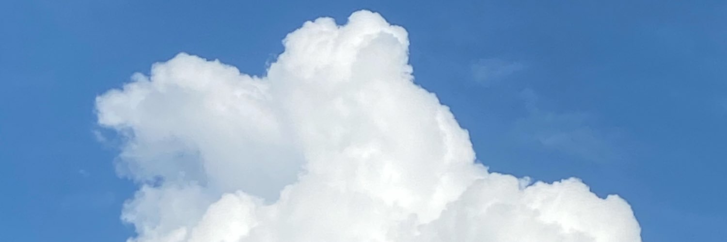 sky ''s banner