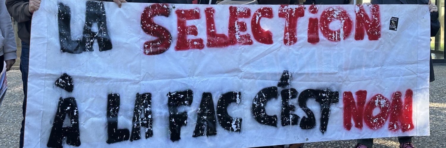Livia Jampy's banner