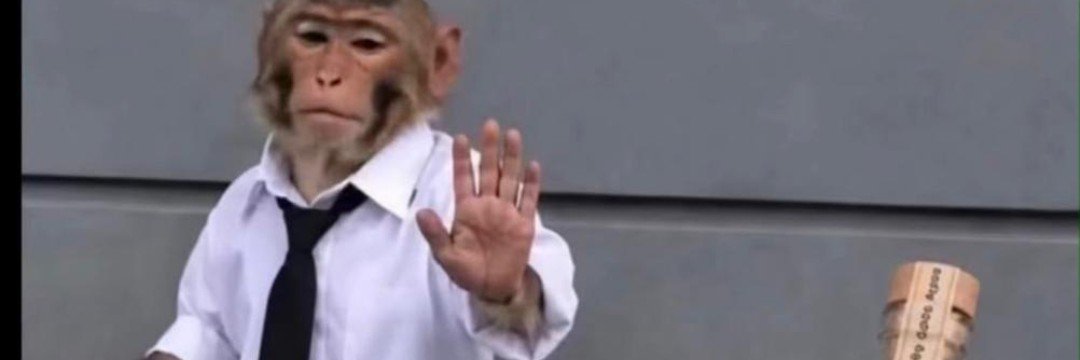 DØÑBÄBS ØF ĀFRÎÇÄ 👑☎️'s banner