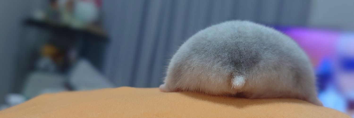 みぃり🐹（Emimiんち所属/スロッター🎰）'s banner