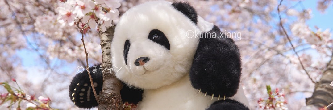 kuma.xiang's banner