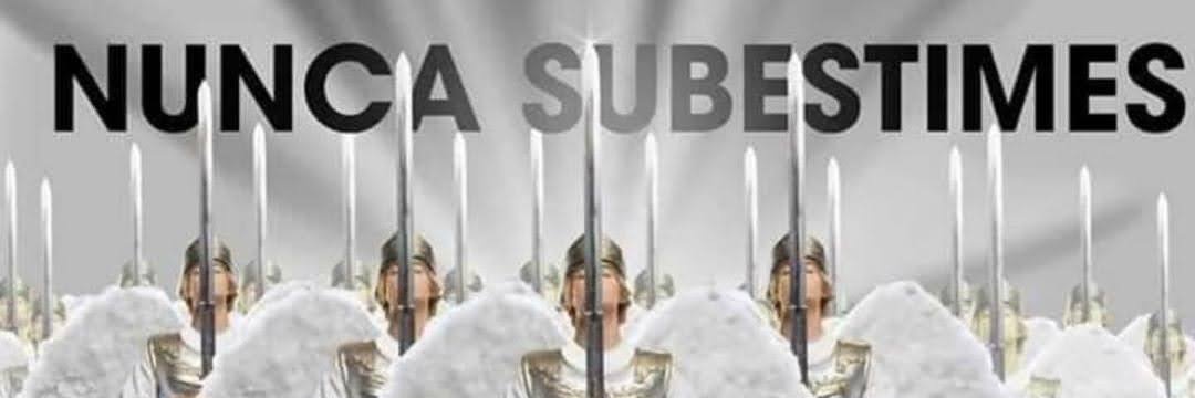 La Niña Pájaro ♰'s banner