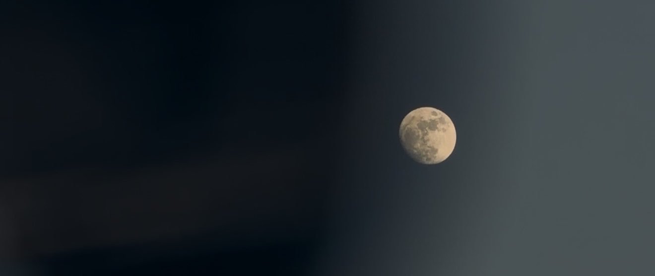 m.'s banner