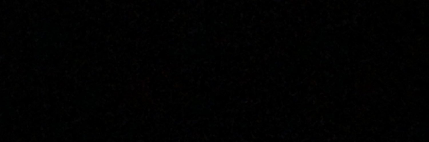 BINGLE PRINGLE's banner