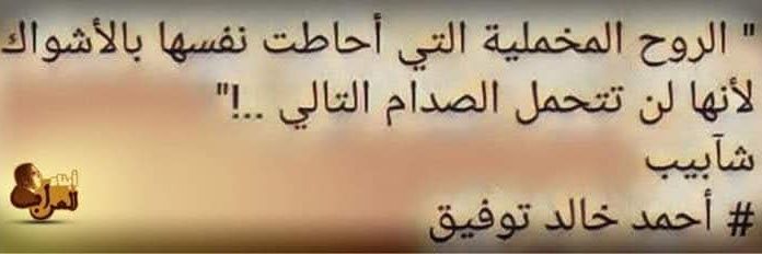 AaLaa🪴's banner