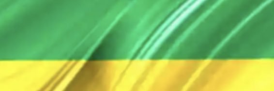 Nani Azevedo's banner