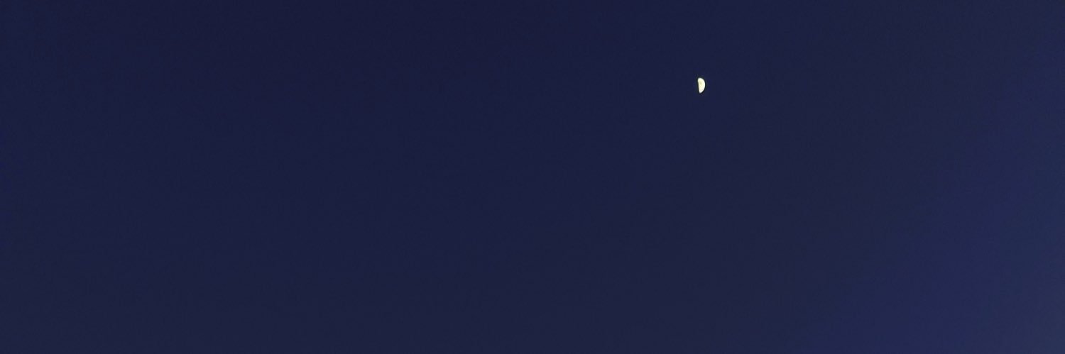 Dante Moon's banner