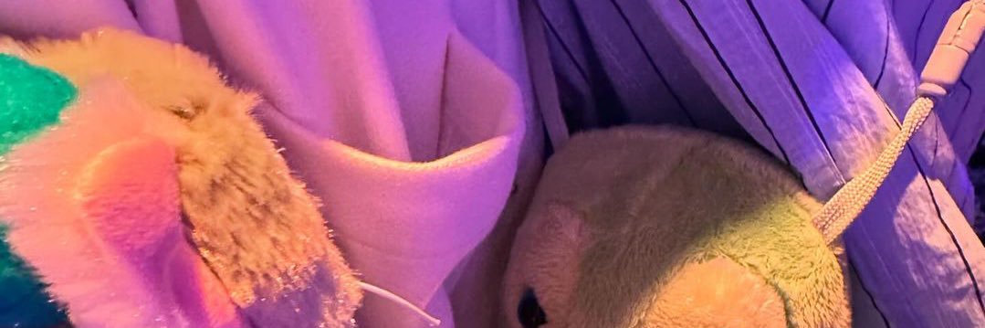 จอมอ⭐️'s banner
