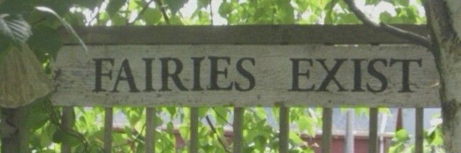 katie ⭐️'s banner