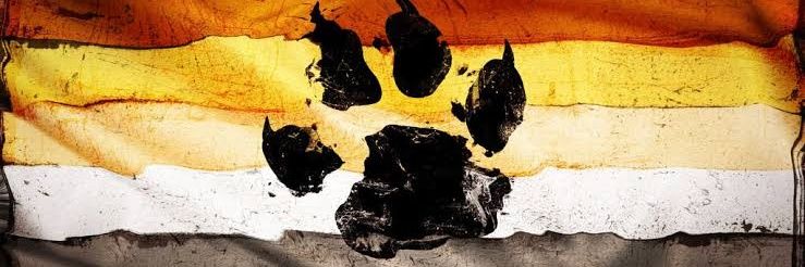 Colaborosos's banner