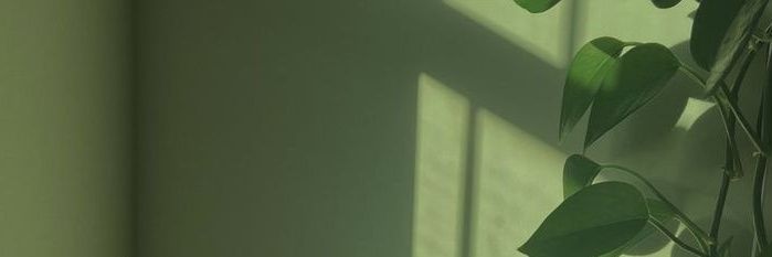 Ken's banner
