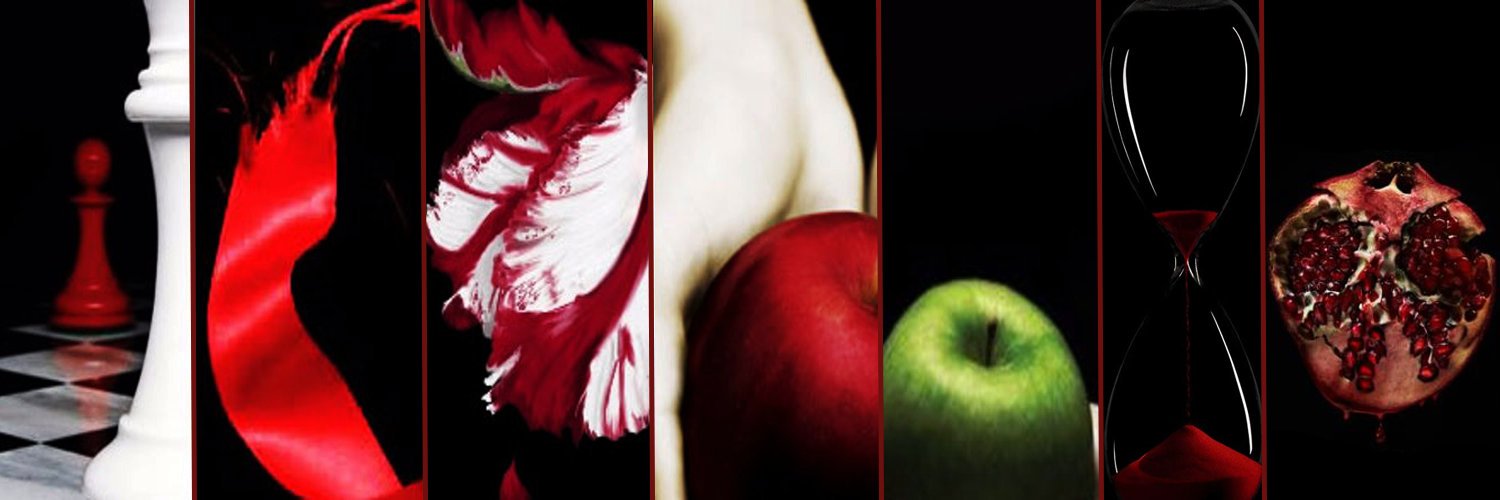 Família Twilight Brasil's banner