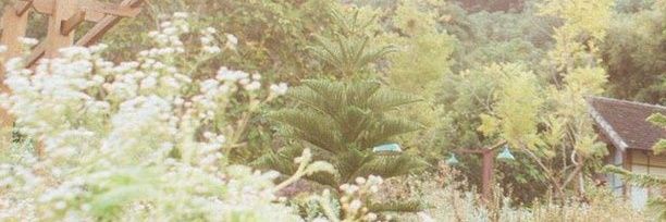 VORLOR₊ (rest)'s banner