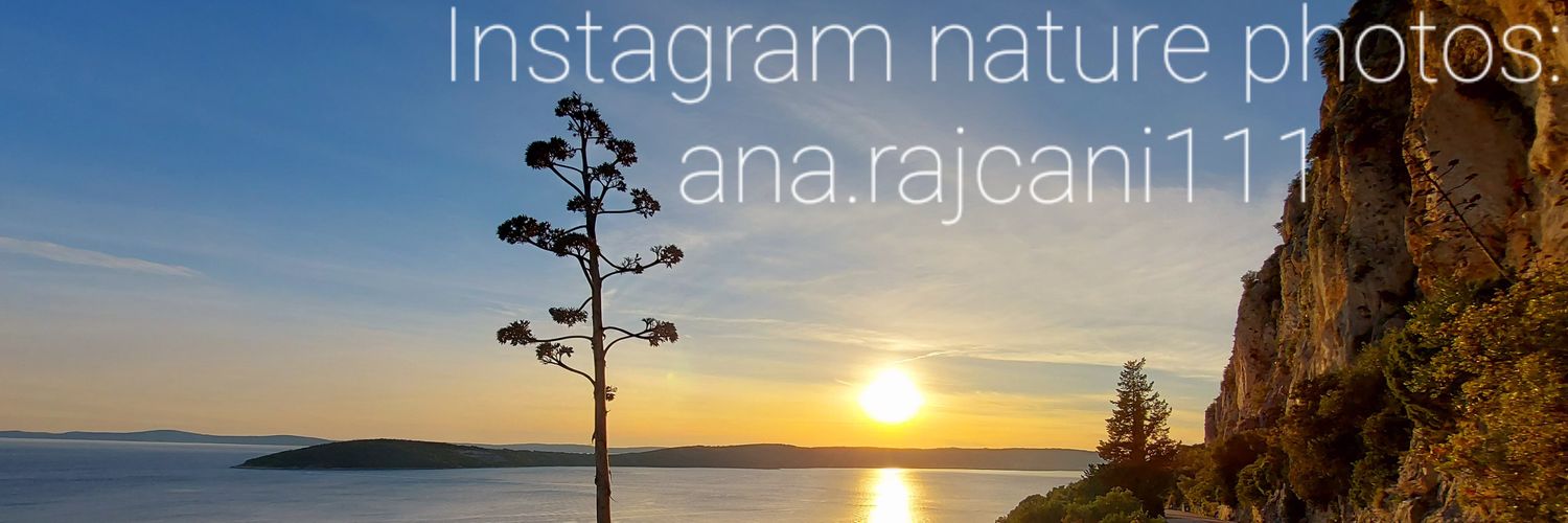Ana Cat's banner