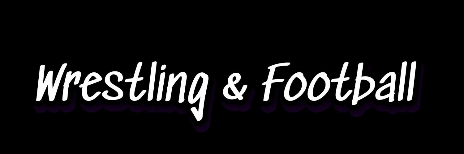 Senator Mad Mike (Bray Wyatt STAN)'s banner