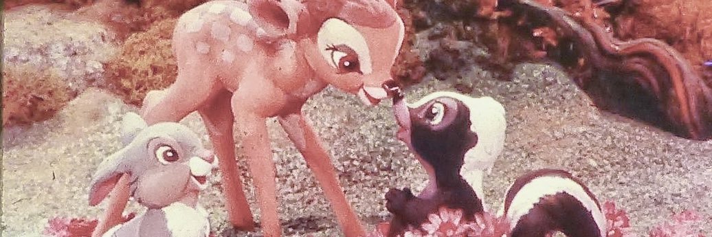 🌷Thea🌷's banner