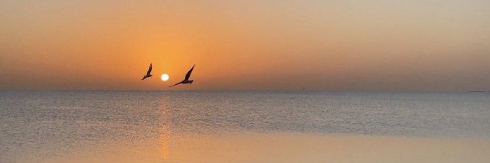 وجــده's banner